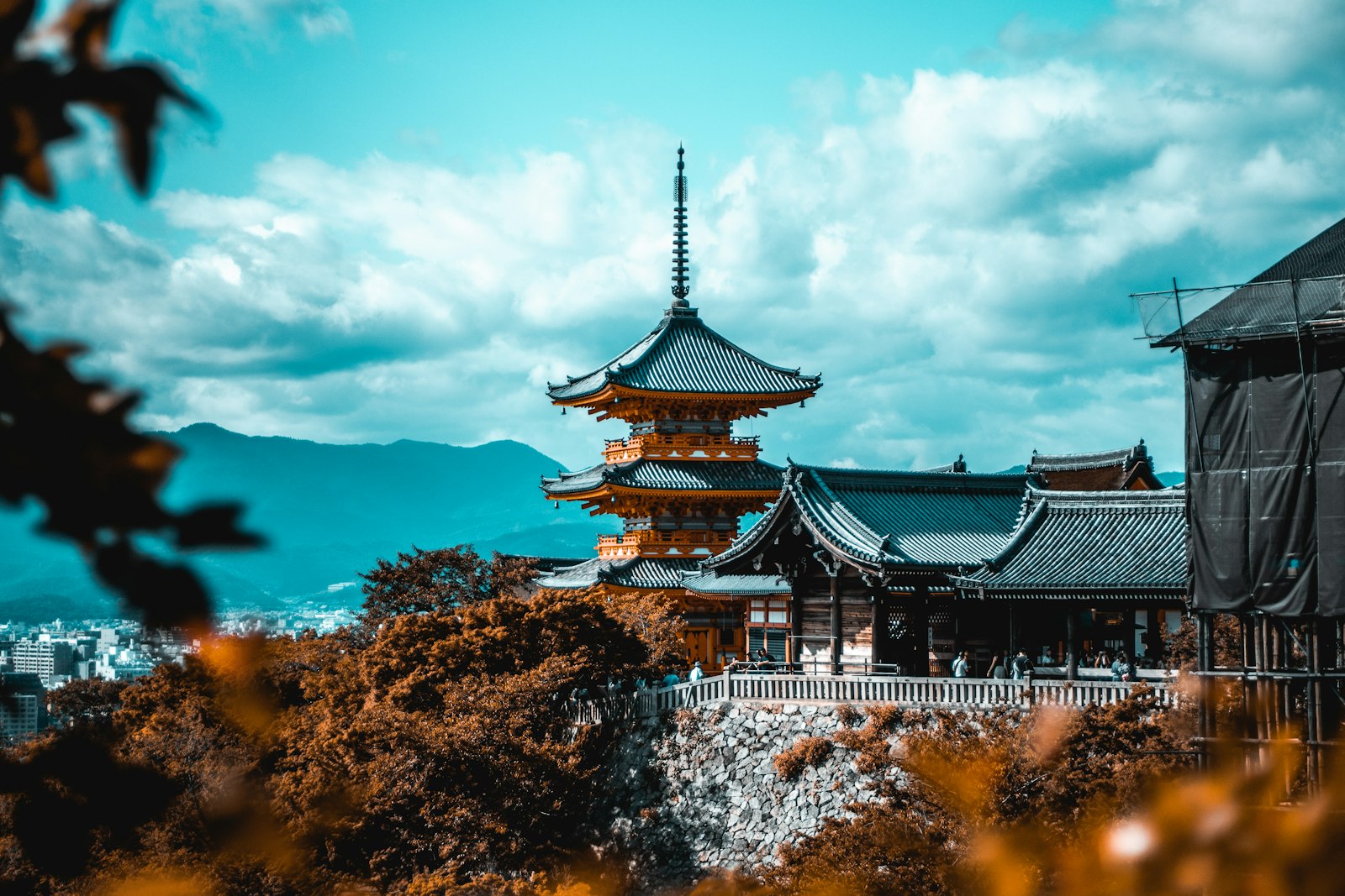公共空間の緑地